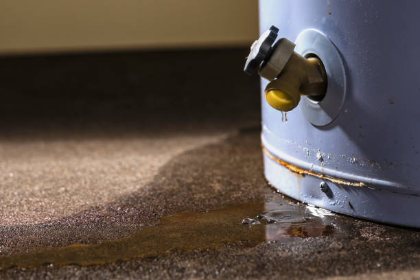 Best Sewage cleanup and water damage restoration  in Kent, WA
