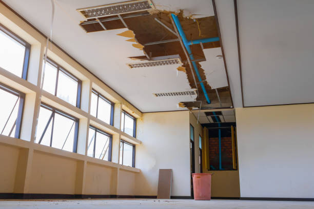 Best Professional water damage repair  in Kent, WA