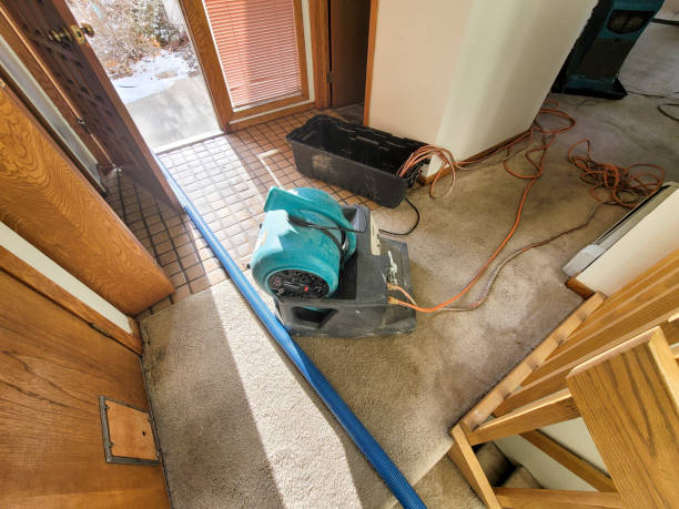 Best Water damage restoration services  in Kent, WA
