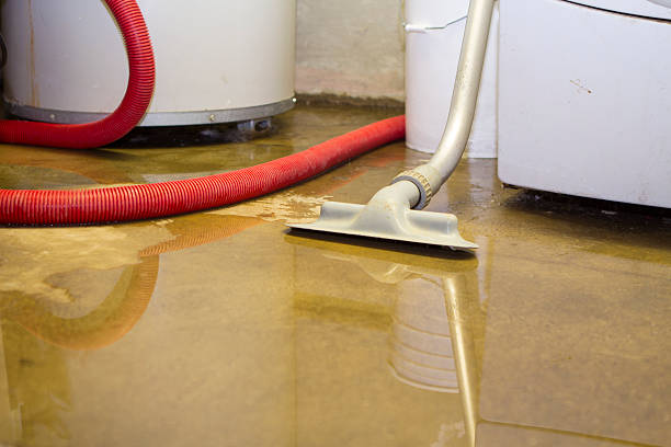 Reliable Kent, WA Water damage restoration Solutions