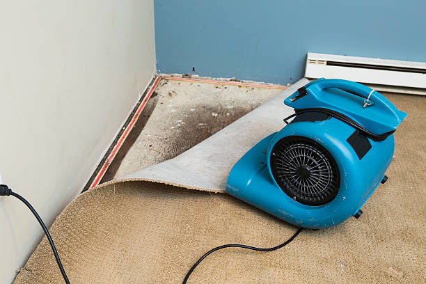 Best Sewage cleanup and water damage restoration  in Kent, WA